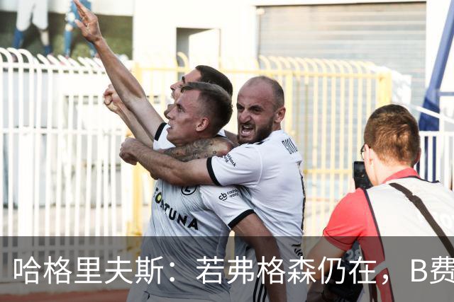 哈格里夫斯：若弗格森仍在，B费毫无发言权